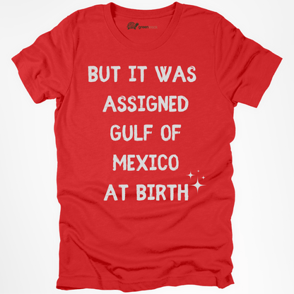 Gulf of Mexico at Birth Tee